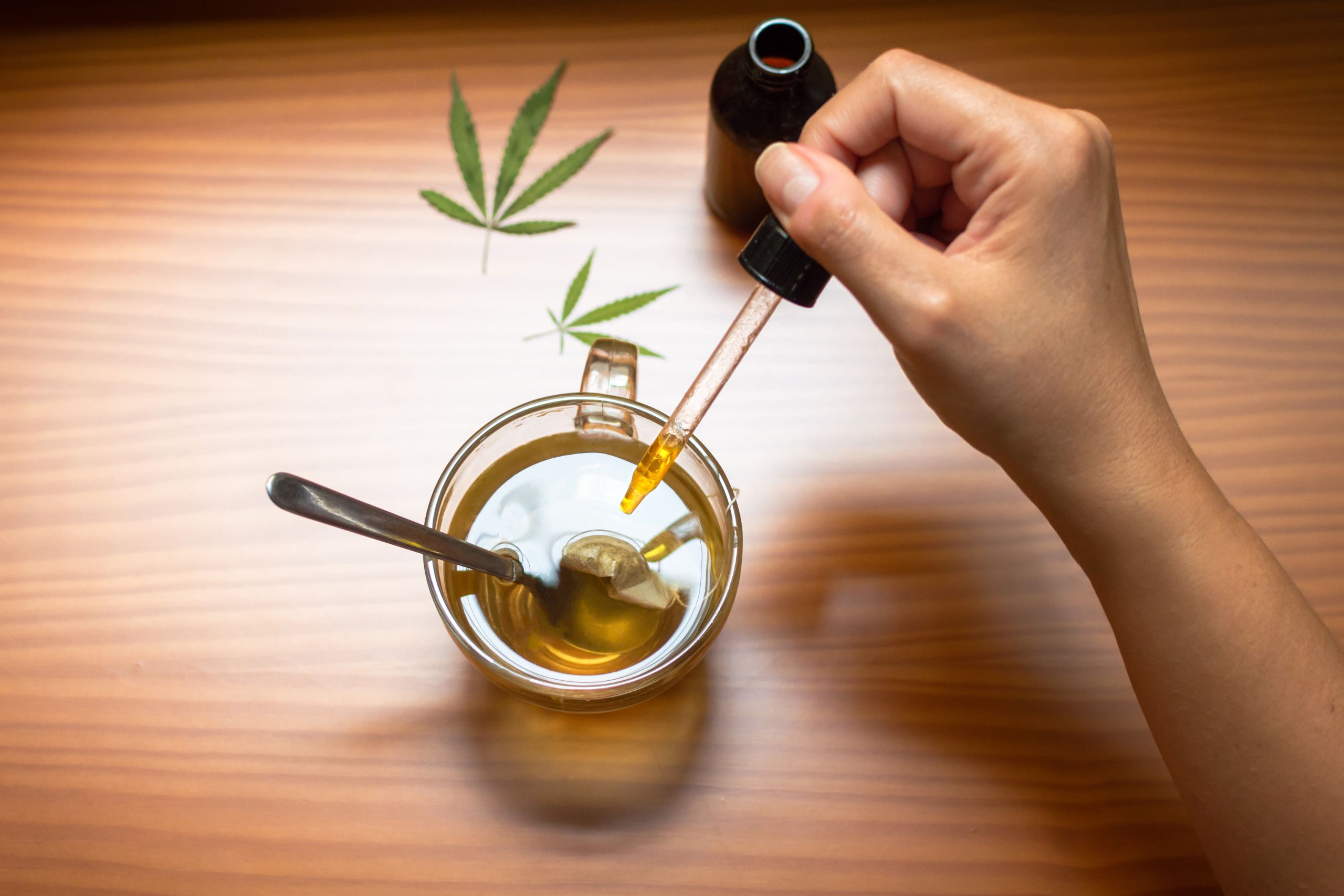 CBD-olje For Angst Hos Kjæledyr: Hvordan Berolige Din Pelskledde Venn Naturlig